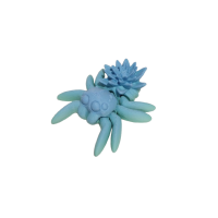 Spider Water Lily
