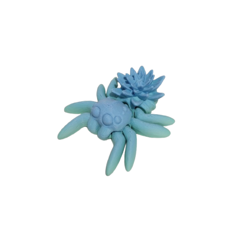 Spider Water Lily
