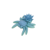 Spider Water Lily