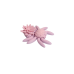 Spider Water Lily