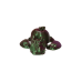 Apple Turtle