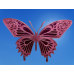 Butterfly Magnet (Design 4)