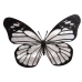 Butterfly Magnet