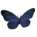 Butterfly Magnet