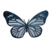 Butterfly Magnet