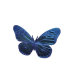 Butterfly Magnet