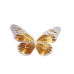 Butterfly Magnet
