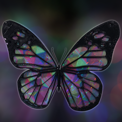 Butterfly Magnet