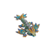 Tiny Ocean Wyvern